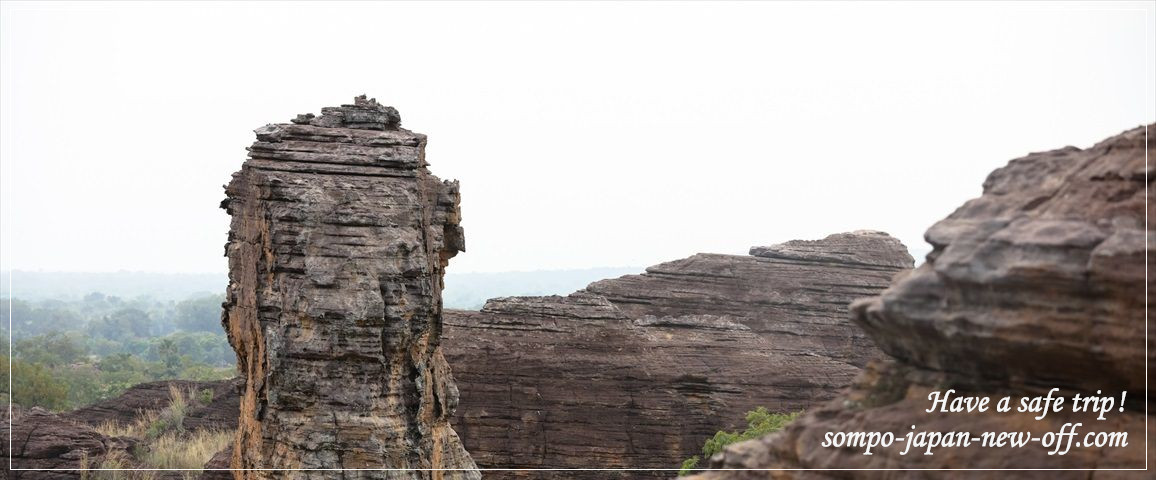 ブルキナファソへの海外旅行保険 お見積り・お申込み