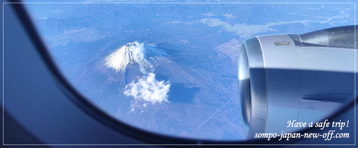 レユニオンへの海外旅行保険 お見積り・お申込み