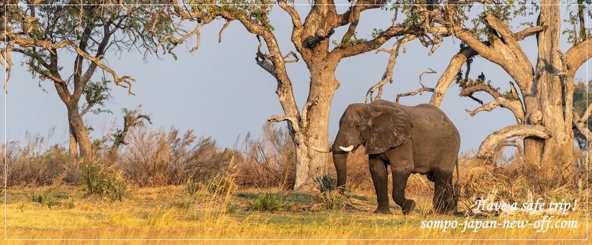 タンザニア連合共和国への海外旅行保険 お見積り・お申込み