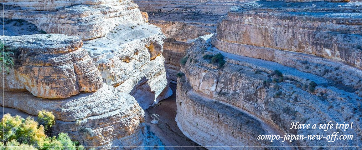 チュニジアへの海外旅行保険 お見積り・お申込み