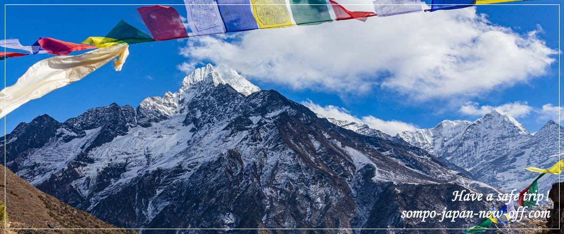 ネパールへの海外旅行保険 お見積り・お申込み