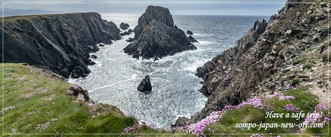 アイルランドへの海外旅行保険 お見積り・お申込み