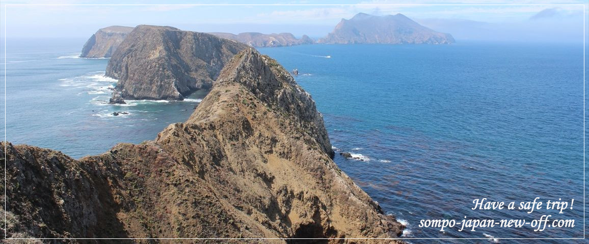 チャネル諸島への海外旅行保険 お見積り・お申込み