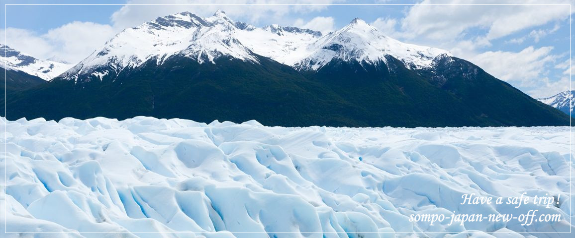 アルゼンチンへの海外旅行保険 お見積り・お申込み