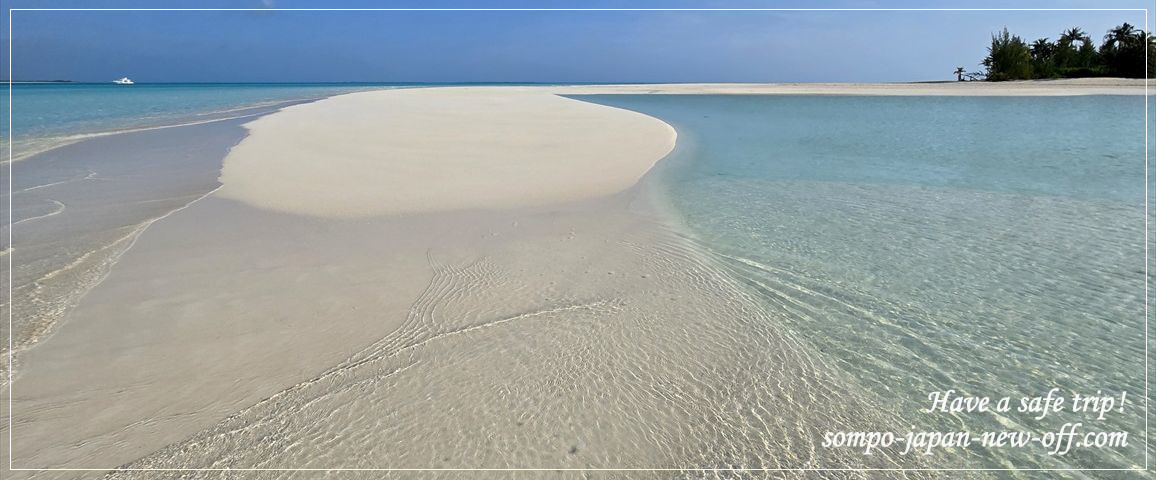 バハマへの海外旅行保険 お見積り・お申込み