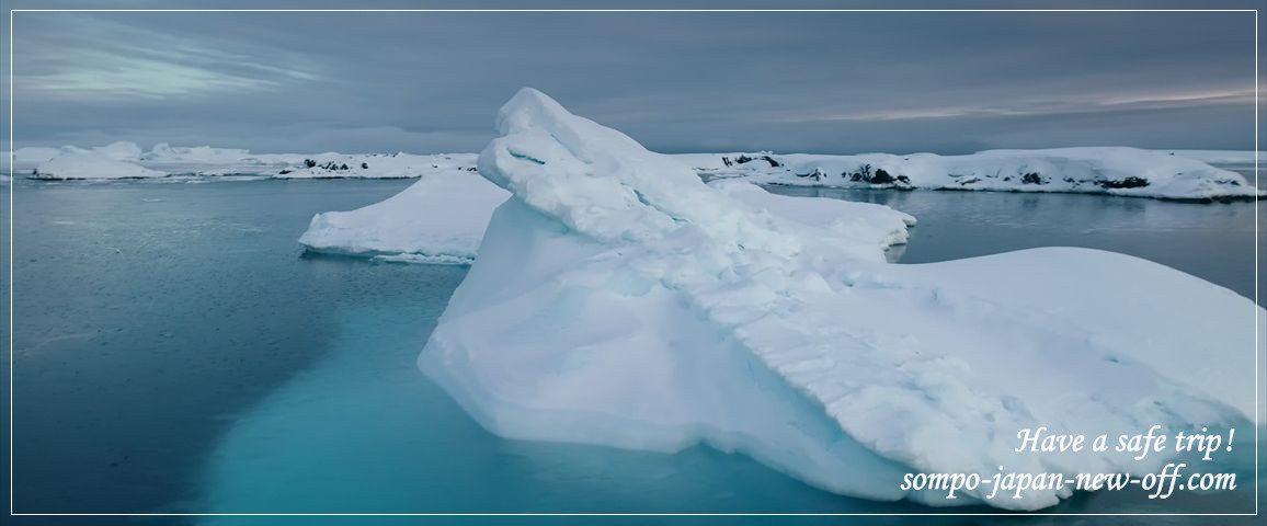 グリーンランドへの海外旅行保険 お見積り・お申込み