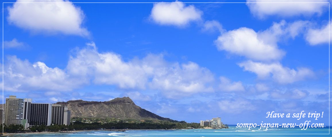 ハワイへの海外旅行保険 お見積り・お申込み