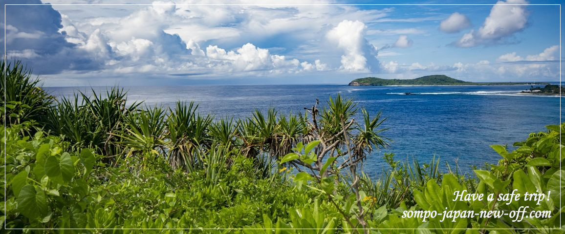 米領サモアへの海外旅行保険 お見積り・お申込み