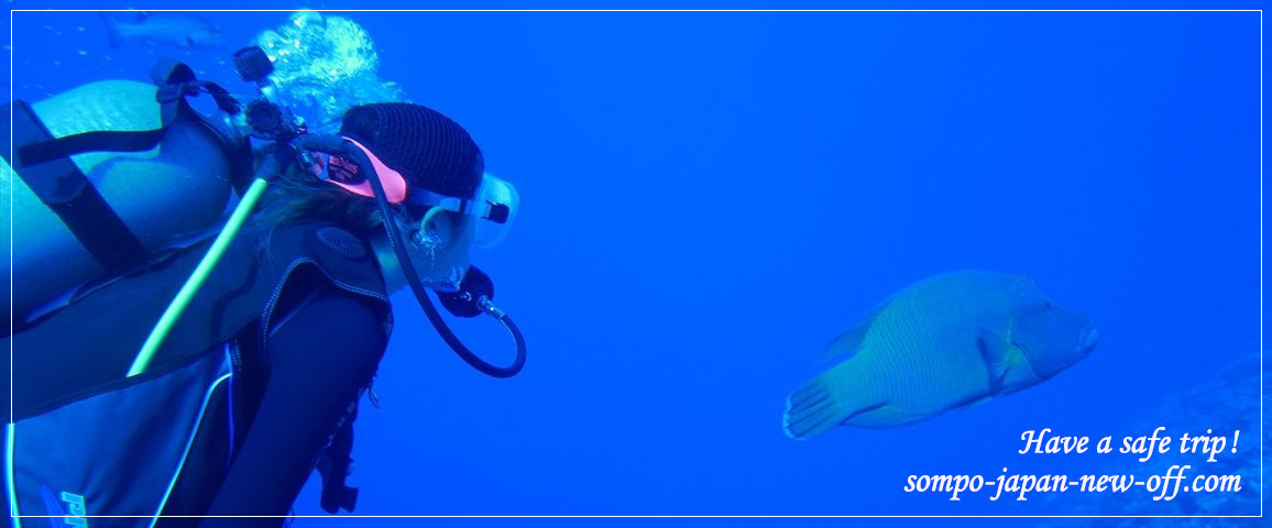 パラオへの海外旅行保険 お見積り・お申込み